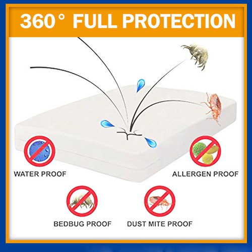 Queen bed bug - proof, mattress