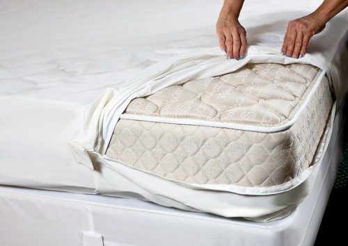 Top seller bed bug - top, seller!