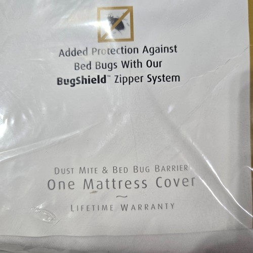 Bed bugs dust mites - dust,